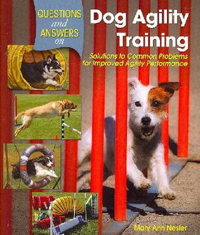 Questions & Answers on Dog Agility Trainingquestions 