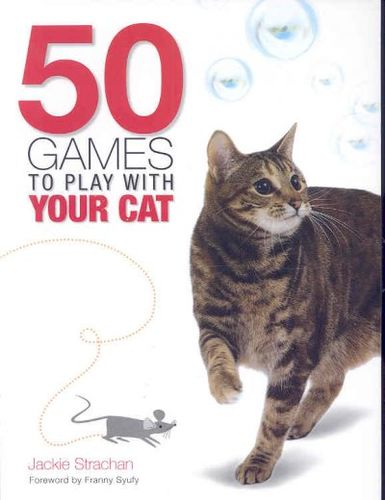 50 Games to Play With Your Catgames 