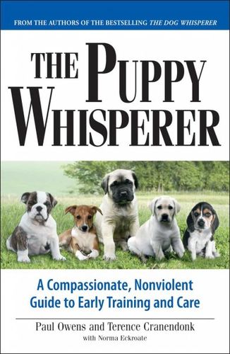 Puppy Whispererpuppy 