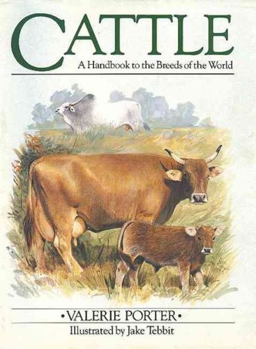 Cattlecattle 
