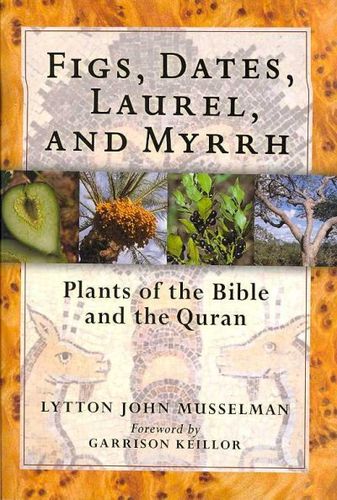 Figs, Dates, Laurel, and Myrrhfigs 