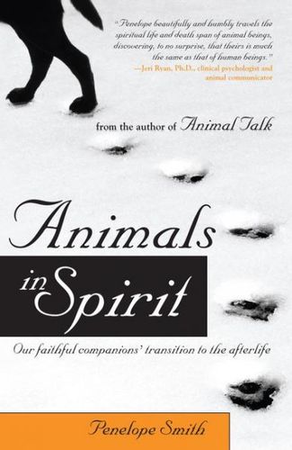 Animals in Spiritanimals 