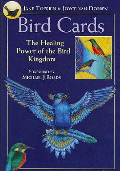 Bird Cardsbird 