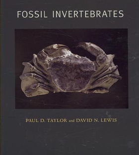 Fossil Invertebratesfossil 