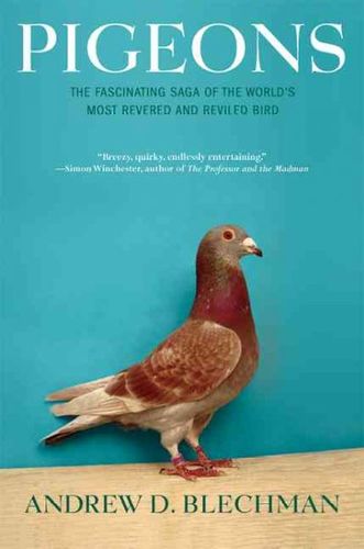 Pigeonspigeons 