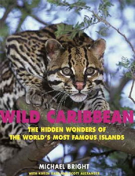 Wild Caribbeanwild 