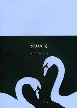 Swanswan 