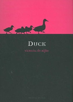 Duckduck 
