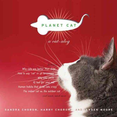Planet Catplanet 