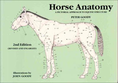 Horse Anatomyhorse 