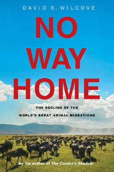 No Way Homehome 