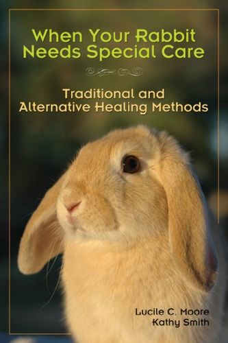 When Your Rabbit Needs Special Carerabbit 