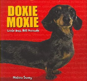 Doxie Moxiedoxie 