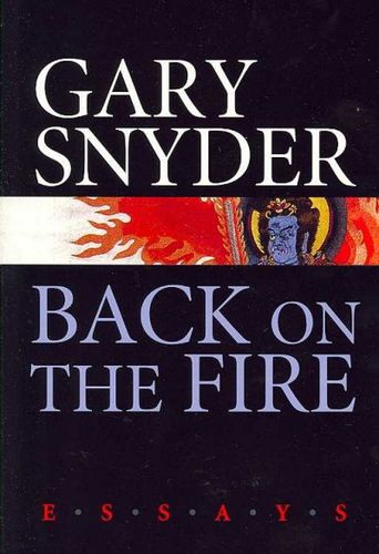 Back on the Firefire 