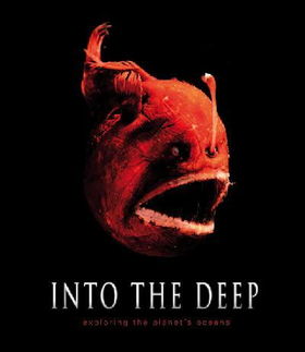 Into the Deepdeep 
