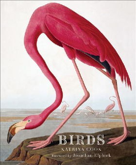 Birdsbirds 