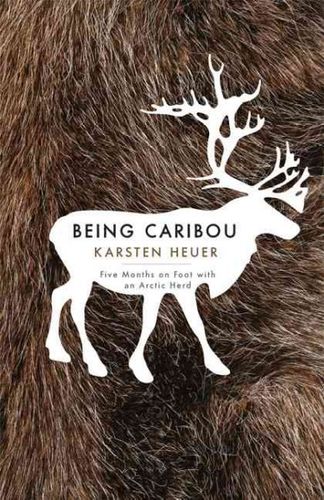 Being Cariboucaribou 