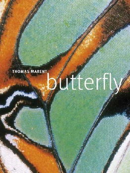Butterflybutterfly 
