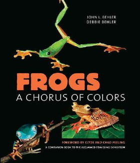 Frogsfrogs 