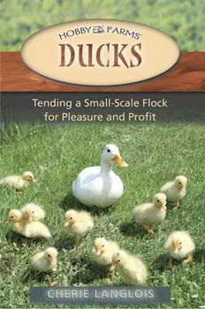 Ducksducks 