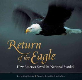 Return of the Eagleeagle 