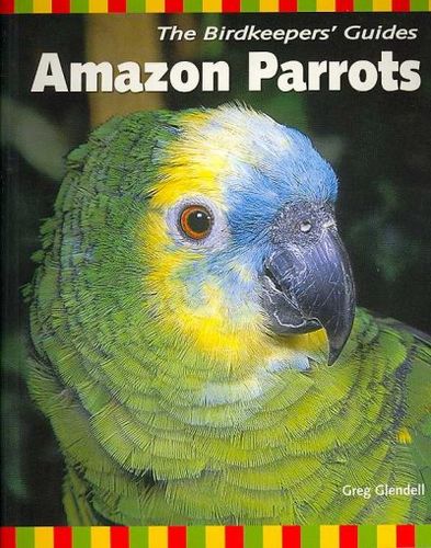 Amazon Parrotsamazon 