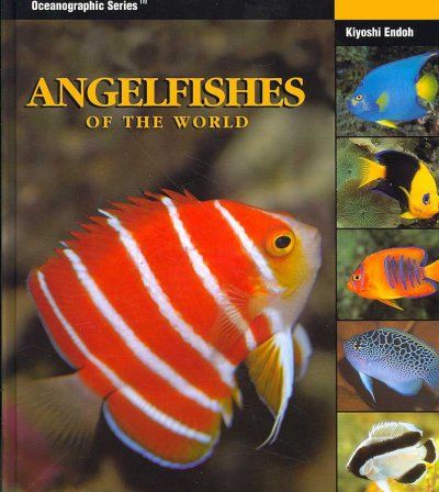 Angelfishes of the Worldangelfishes 