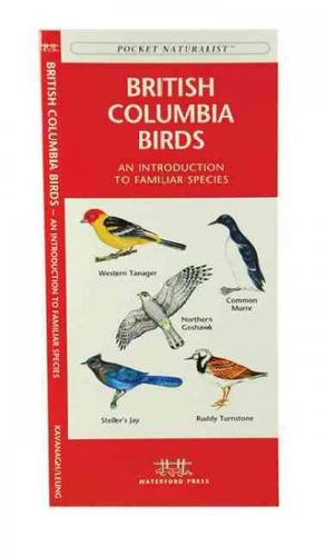 British Columbia Birdsbritish 