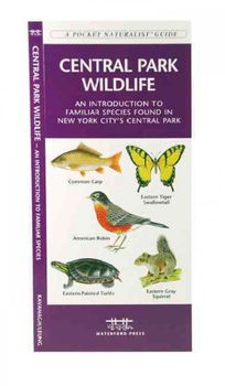 Central Park Wildlifecentral 