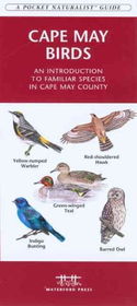 Cape May Birdscape 