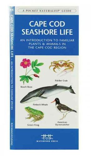 Cape Cod Seashore Lifecape 