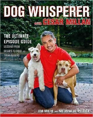 Dog Whisperer With Cesar Millandog 