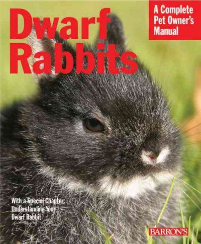 Dwarf Rabbitsdwarf 