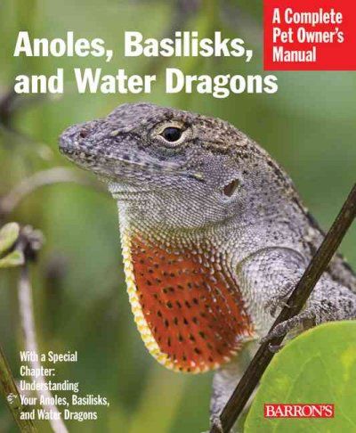 Anoles, Basilisks, and Water Dragonsanoles 
