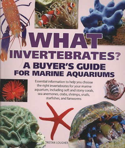 What Invertebrates?invertebrates 