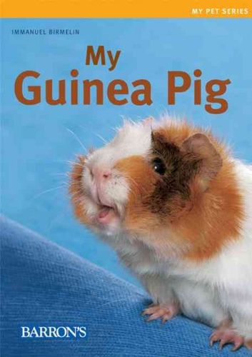 My Guinea Pigguinea 
