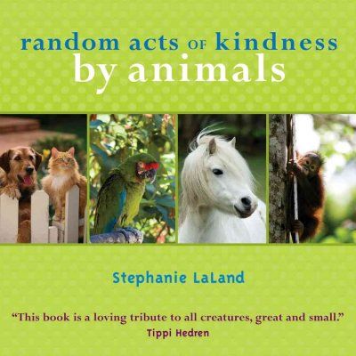 Random Acts of Kindness by Animalsrandom 