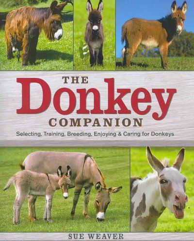 The Donkey Companiondonkey 