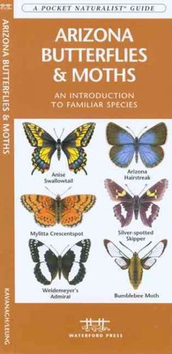 Arizona Butterflies & Mothsarizona 