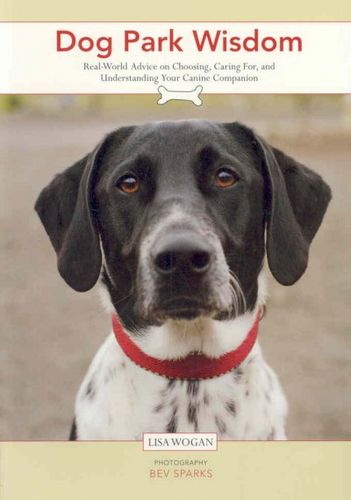 Dog Park Wisdomdog 