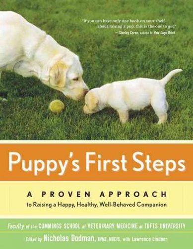 Puppy's First Stepspuppy 