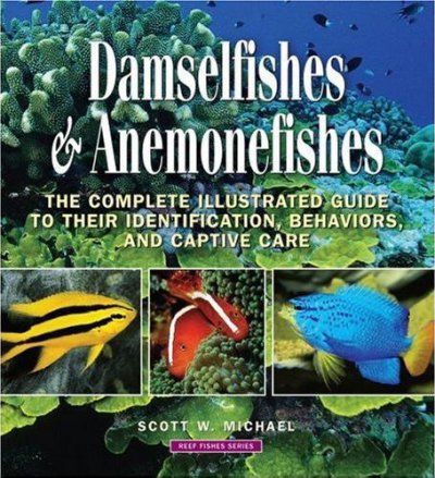 Damselfishes & Anemonefishesdamselfishes 