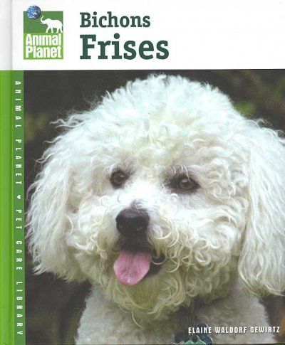 Bichons Frisesbichons 