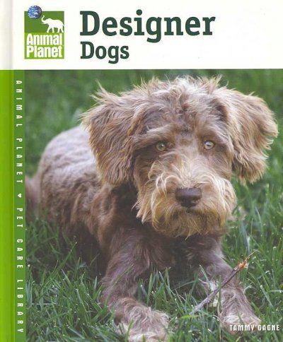 Designer Dogsdesigner 