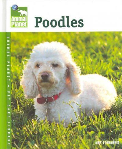 Poodlespoodles 