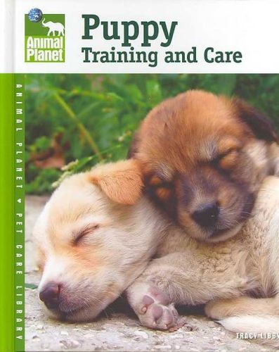 Puppy Training and Carepuppy 