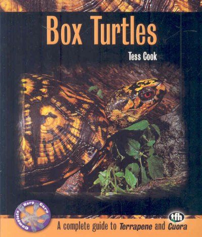 Box Turtlesbox 
