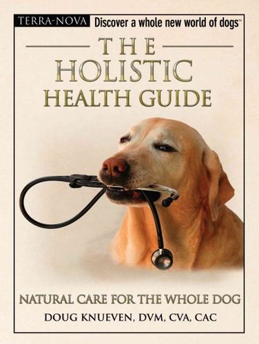The Holistic Health Guideholistic 