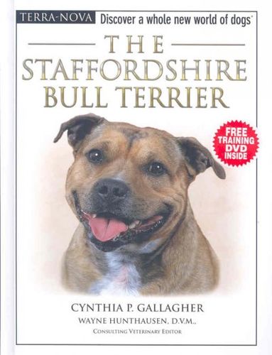 The Staffordshire Bull Terrierstaffordshire 
