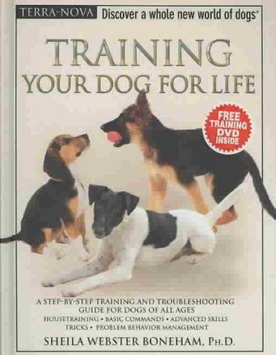 Training Your Dog for Lifetraining 
